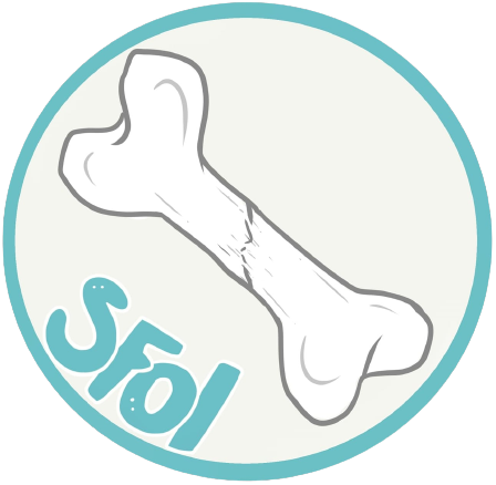 cropped-54190698_2515783395118268_3931850960996925440_n-removebg-preview